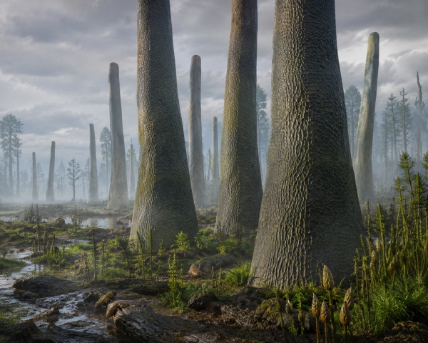 Prototaxites Prototaxites